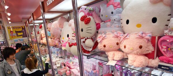日本退休老人成世界Hello Kitty最大藏家 - 俄羅斯衛星通訊社