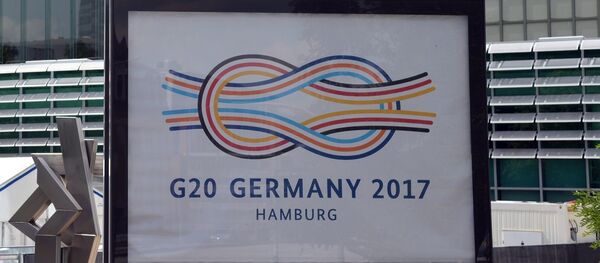 金砖国家领导人呼吁国际社会共同履行《巴黎气候变化协定》 - 俄罗斯卫星通讯社