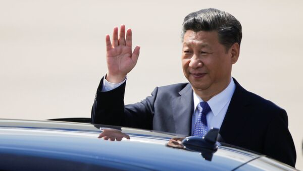 Президент Китая Си Цзиньпин прибывает на саммит G 20 в Гамбурге, Германия - 俄罗斯卫星通讯社