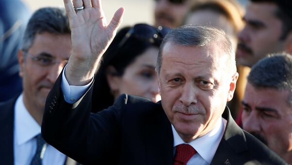 埃尔多安: 土耳其将不再从国际货币基金组织贷款 - 俄罗斯卫星通讯社