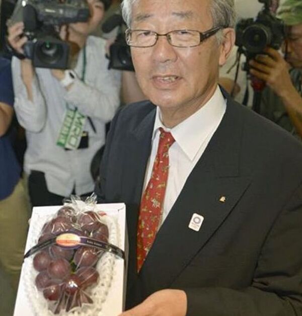 日本一串葡萄拍出1.1萬美元高價 - 俄羅斯衛星通訊社