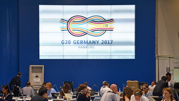 G20峰會 - 俄羅斯衛星通訊社