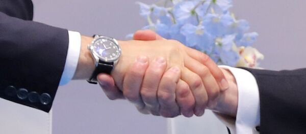 特朗普:在漢堡與普京的會面很棒 特朗普:在漢堡與普京的會面很棒 - 俄羅斯衛星通訊社