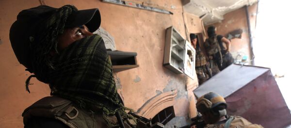 恐怖主义 - 俄罗斯卫星通讯社