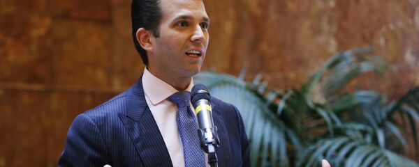 美參議院委員會徵詢小特朗普與俄律師會面在場者信息 美參議院委員會徵詢小特朗普與俄律師會面在場者信息 - 俄羅斯衛星通訊社