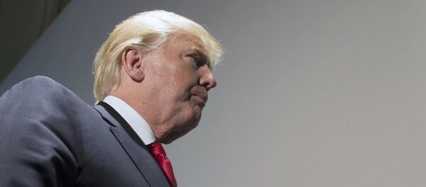 US President Donald Trump arrives for a meeting with Chinese President Xi Jinping on the sidelines of the G-20 Summit in Hamburg - 俄罗斯卫星通讯社