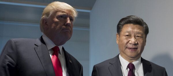 特朗普与习近平 - 俄罗斯卫星通讯社