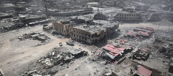 摩苏尔市 - 俄罗斯卫星通讯社