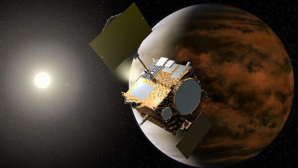 俄专家发现金星存在生命的新证据 - 俄罗斯卫星通讯社