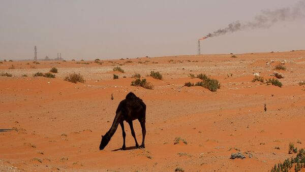 Нефтяные вышки в Саудовской Аравии - 俄羅斯衛星通訊社