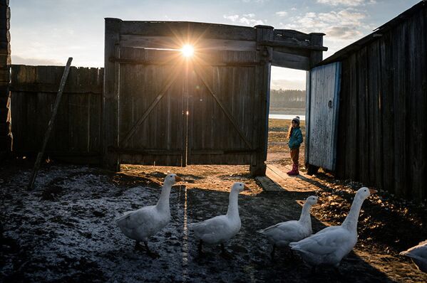 俄罗斯摄影师阿列克谢·马利加夫科系列作品《上学的路》之一 - 俄罗斯卫星通讯社