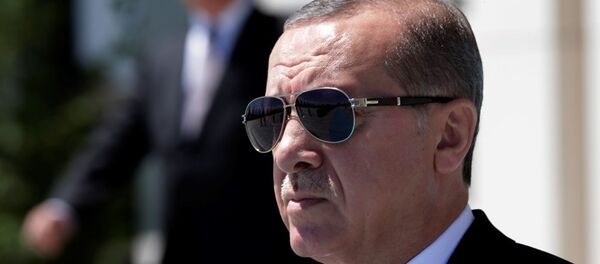 埃尔多安 - 俄罗斯卫星通讯社