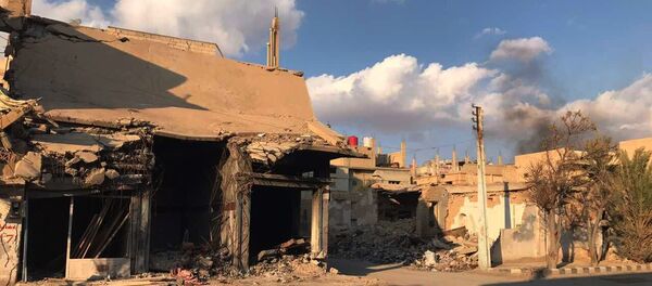 巴爾米拉 - 俄羅斯衛星通訊社