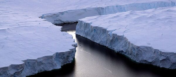 脱离南极的冰山体积仅为1980年测量体积的六分之一 - 俄罗斯卫星通讯社