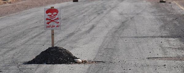 禁止化学武器组织-联合国联合调查机制在美影响下无法履行其职能 禁止化学武器组织-联合国联合调查机制在美影响下无法履行其职能 - 俄罗斯卫星通讯社