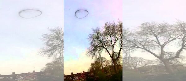 видеоклуб - 俄罗斯卫星通讯社