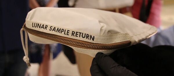 尼爾•阿姆斯特朗的一個沾有月球塵土的包在美國被拍賣 - 俄羅斯衛星通訊社