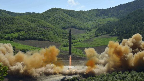 朝鮮打算發展核武直至準備對美國發動大規模打擊 - 俄羅斯衛星通訊社
