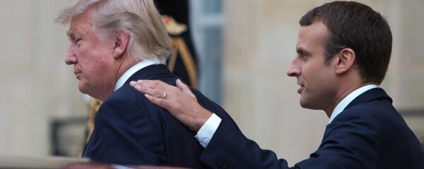 馬克龍：特朗普承諾將考慮美國參與《巴黎氣候協定》問題 - 俄羅斯衛星通訊社