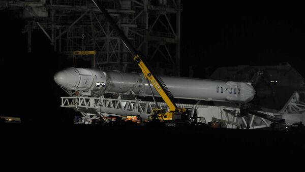 Space X's Falcon 9 rocket sits on the launch pad - 俄羅斯衛星通訊社