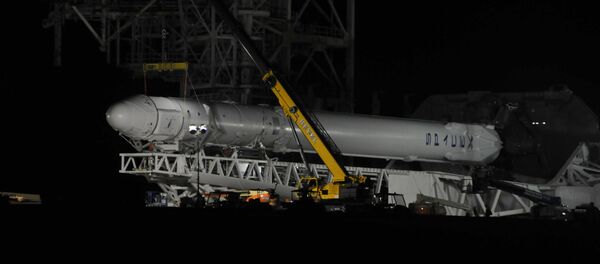 Space X's Falcon 9 rocket sits on the launch pad Space X's Falcon 9 rocket sits on the launch pad - 俄罗斯卫星通讯社