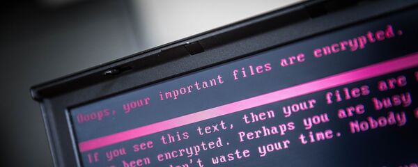 網絡安全 - 俄羅斯衛星通訊社