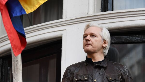 ААссанжа не выдворили из посольства потому, что WikiLeaks стало об этом известно - главред - 俄罗斯卫星通讯社