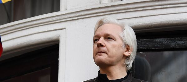 维基解密创始人阿桑奇 维基解密创始人阿桑奇 - 俄罗斯卫星通讯社