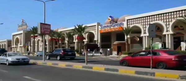 德国政府确认：两名德国公民在埃及袭击中死亡 - 俄罗斯卫星通讯社