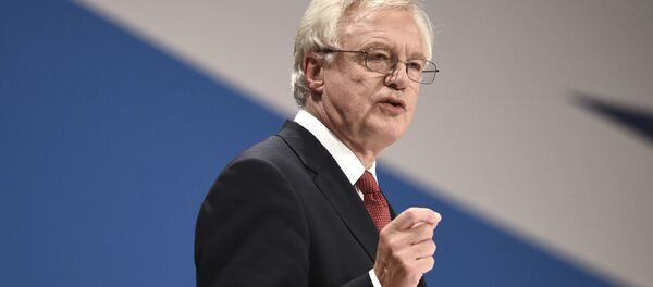 Британский министр по делам Brexit Дэвид Дэвис - 俄罗斯卫星通讯社