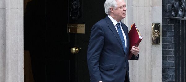 Министр по вопросам выхода из ЕС Дэвид Дэвис у резиденции главы правительства Великобритании на Даунинг-стрит, 10 выхода Великобритании из ЕС - 俄羅斯衛星通訊社