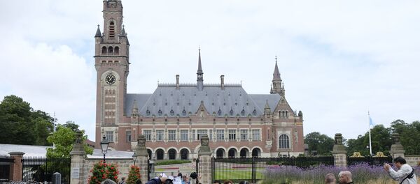 南海仲裁案一年对地区局势有何影响？ - 俄罗斯卫星通讯社