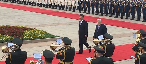 巴勒斯坦总统因耶路撒冷圣殿山局势中断对华访问 - 俄罗斯卫星通讯社