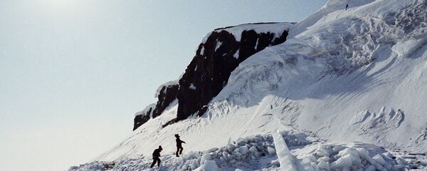 北极弗兰格尔岛 北极弗兰格尔岛 - 俄罗斯卫星通讯社