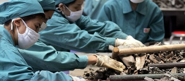 环保人士：应防止美国把出口到中国的垃圾转移到其他发展中国家 - 俄罗斯卫星通讯社