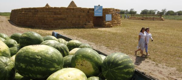 西瓜或誘發癌症 - 俄羅斯衛星通訊社