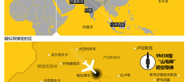 馬航MH-17航班（波音777-200）空難 - 俄羅斯衛星通訊社