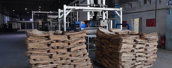 水泥厂 - 俄罗斯卫星通讯社