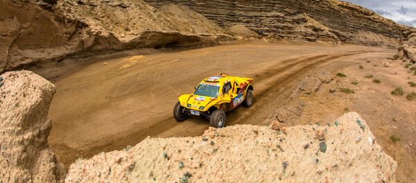 拉力赛 - 俄罗斯卫星通讯社