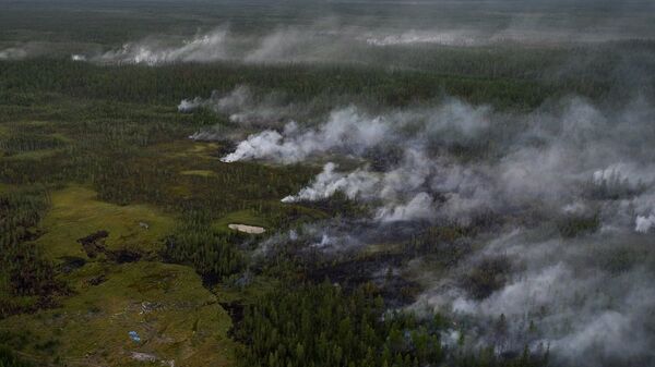 森林火災 - 俄羅斯衛星通訊社