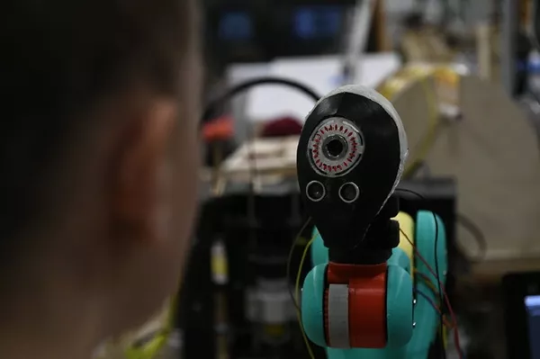未來房屋入口，可由嚴謹的“守門人IRIS”機器人看護。 - 俄羅斯衛星通訊社