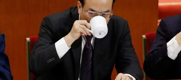 孙政才 孙政才 - 俄罗斯卫星通讯社