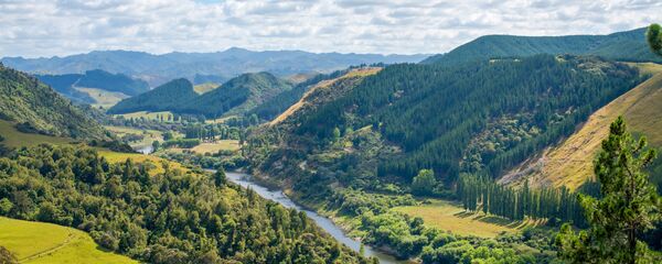 新西蘭 - 俄羅斯衛星通訊社