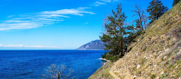 Участок туристического пешего маршрута Большая Байкальская тропа в Прибайкальском национальном парке на берегу озера Байкал - 俄罗斯卫星通讯社