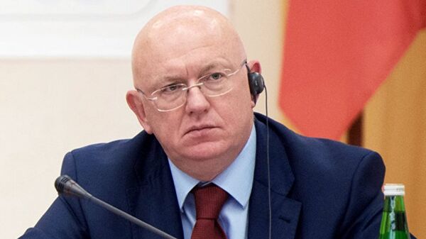 俄常驻联合国代表称俄美关系处于不可接受的低水平 - 俄罗斯卫星通讯社