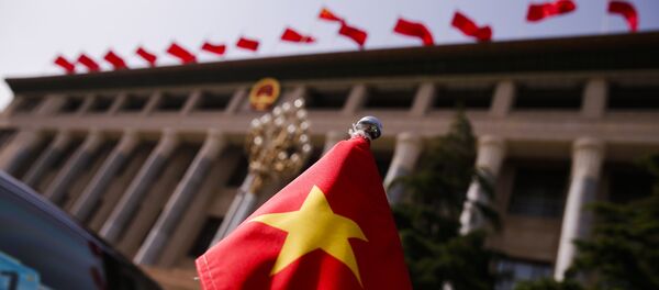 中越兩國比以往任何時候都需要攜手合作 - 俄羅斯衛星通訊社