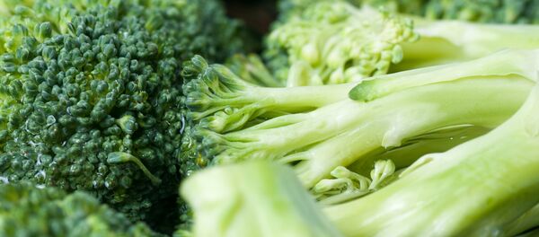 美国对一名拿西兰花冒充大麻的毒贩进行了判决 - 俄罗斯卫星通讯社