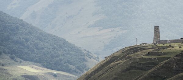 北奥塞梯 - 俄罗斯卫星通讯社