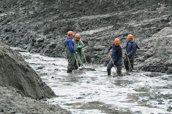 工人用網打撈琥珀 - 俄羅斯衛星通訊社