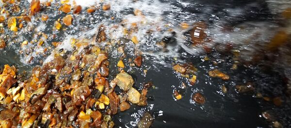 На АО Янтарный комбинат в Калининграде На АО Янтарный комбинат в Калининграде - 俄羅斯衛星通訊社